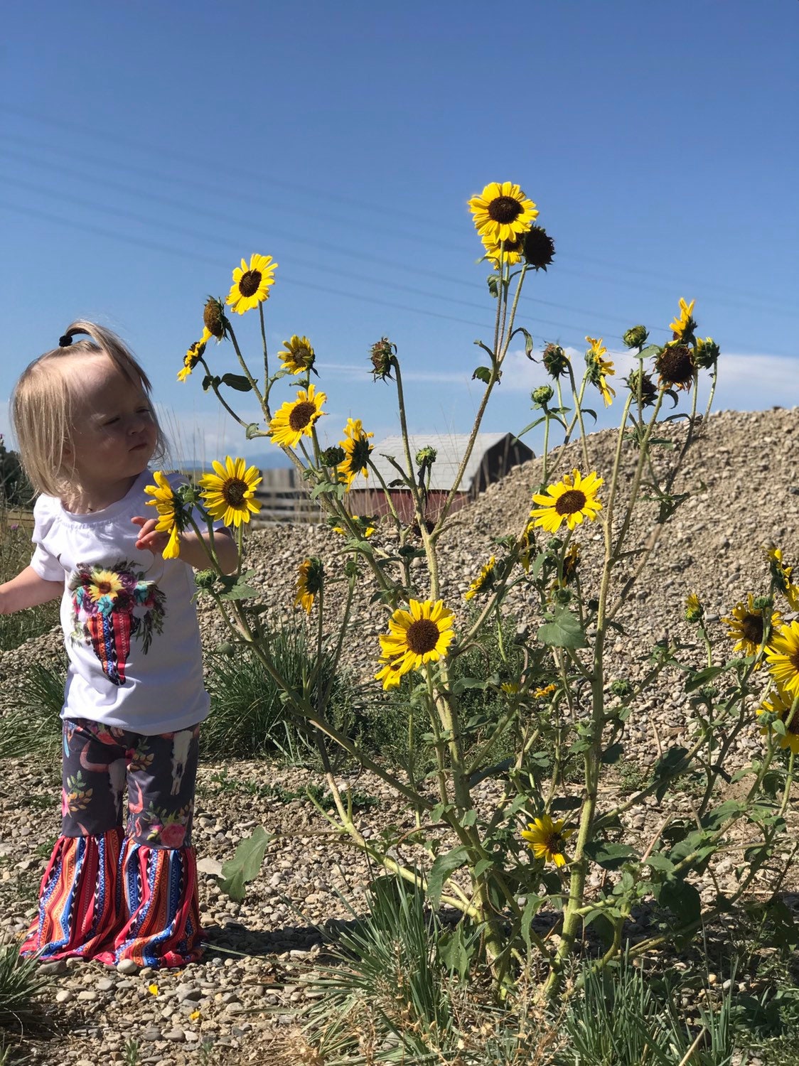 Girls' Cowgirl Bell Bottom Outfit: Steer Skull Sunflower Shirt -Razels