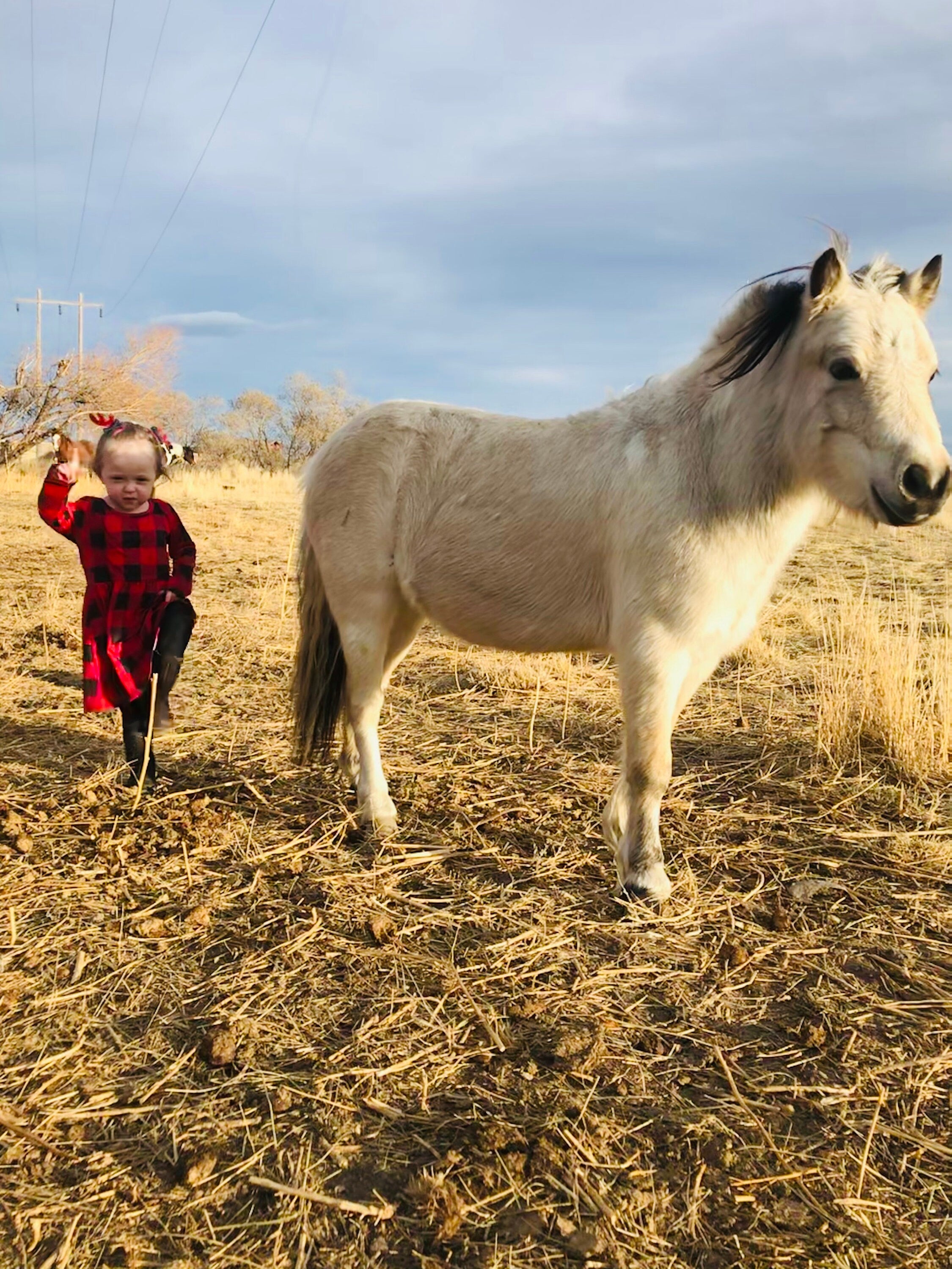 Jernie and Cookie the pony modeling the Buffalo Plaid Check Christmas dress.