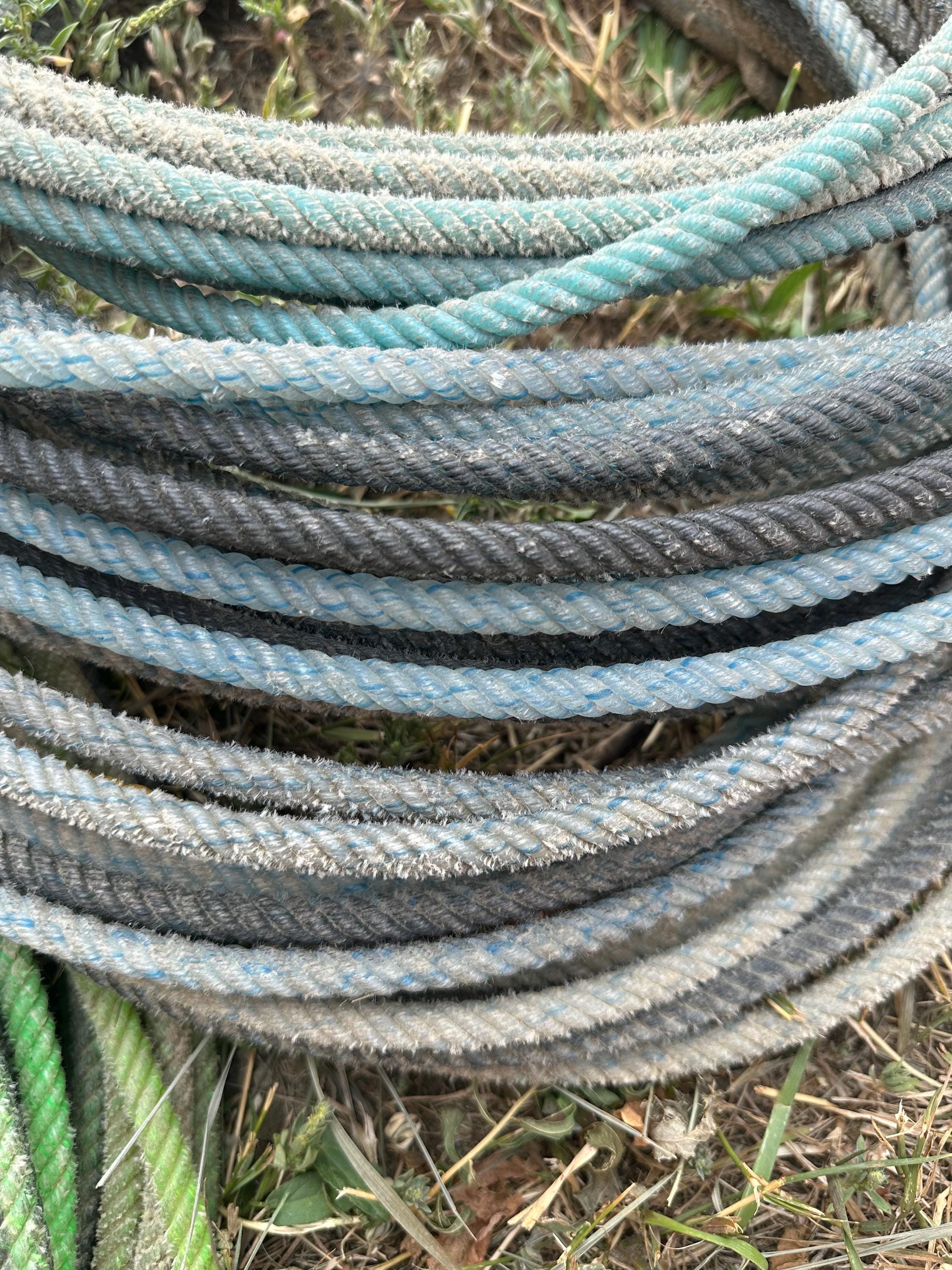 🎇 Patriotic Cowboy Ropes – Red, White & Blue Lariats for Rustic 4th of July Decor
Bring a little Yeehaw to your fireworks this 4th of July with authentic used cowboy ropes in red, white, and blue! These real team roping lassos have seen the arena — and now they’re ready to become the star of your patriotic porch, gate, or DIY project ❤️🤍💙
✓ Available in pinkish-red, white, or blue
✓ Perfect for rustic 4th of July wreaths, barn decor, patriotic garlands, or handmade lasso signs