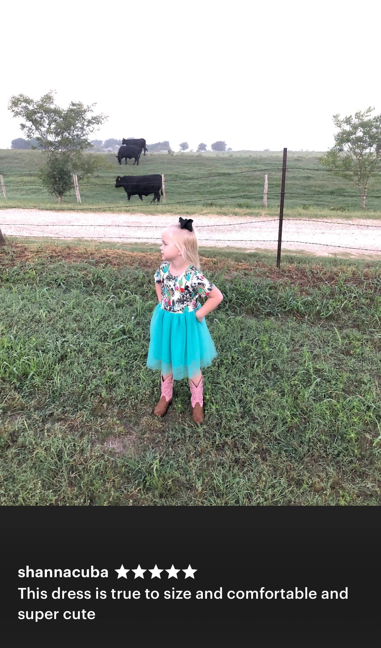 5 star review with one super cute girl modeling her cowgirl tutu dress