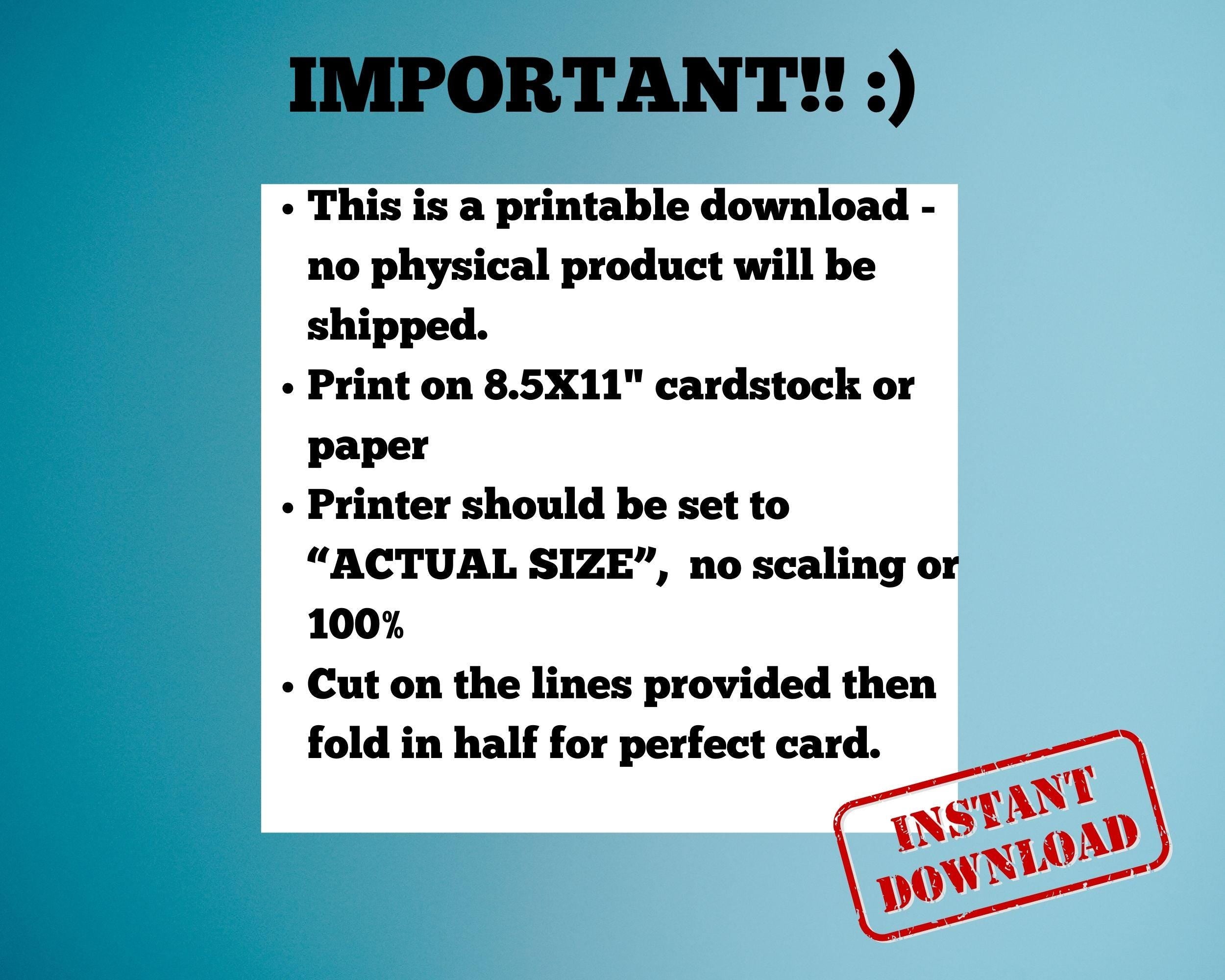 Western Christmas Card, Christmas Horse Card, Holiday Horse Digital Card featuring a blazed face sorrel wearing a Santa Hat sending his Merry Christmas wishes! Purchase 1 time and use unlimited times! Digital download, use it today!