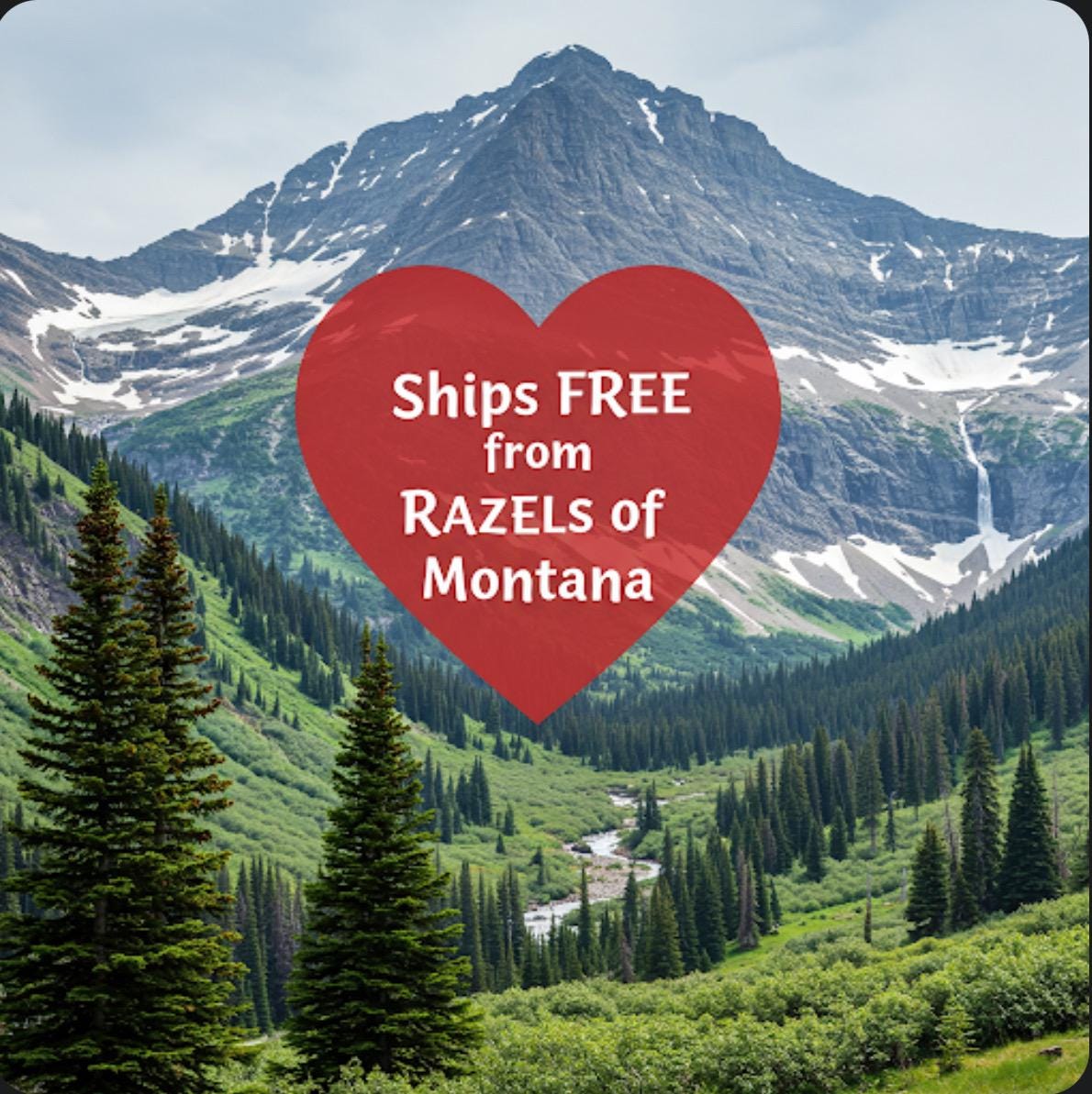 Longhorn Skull Slippers, Western Fall Halloween Shoes -Razels