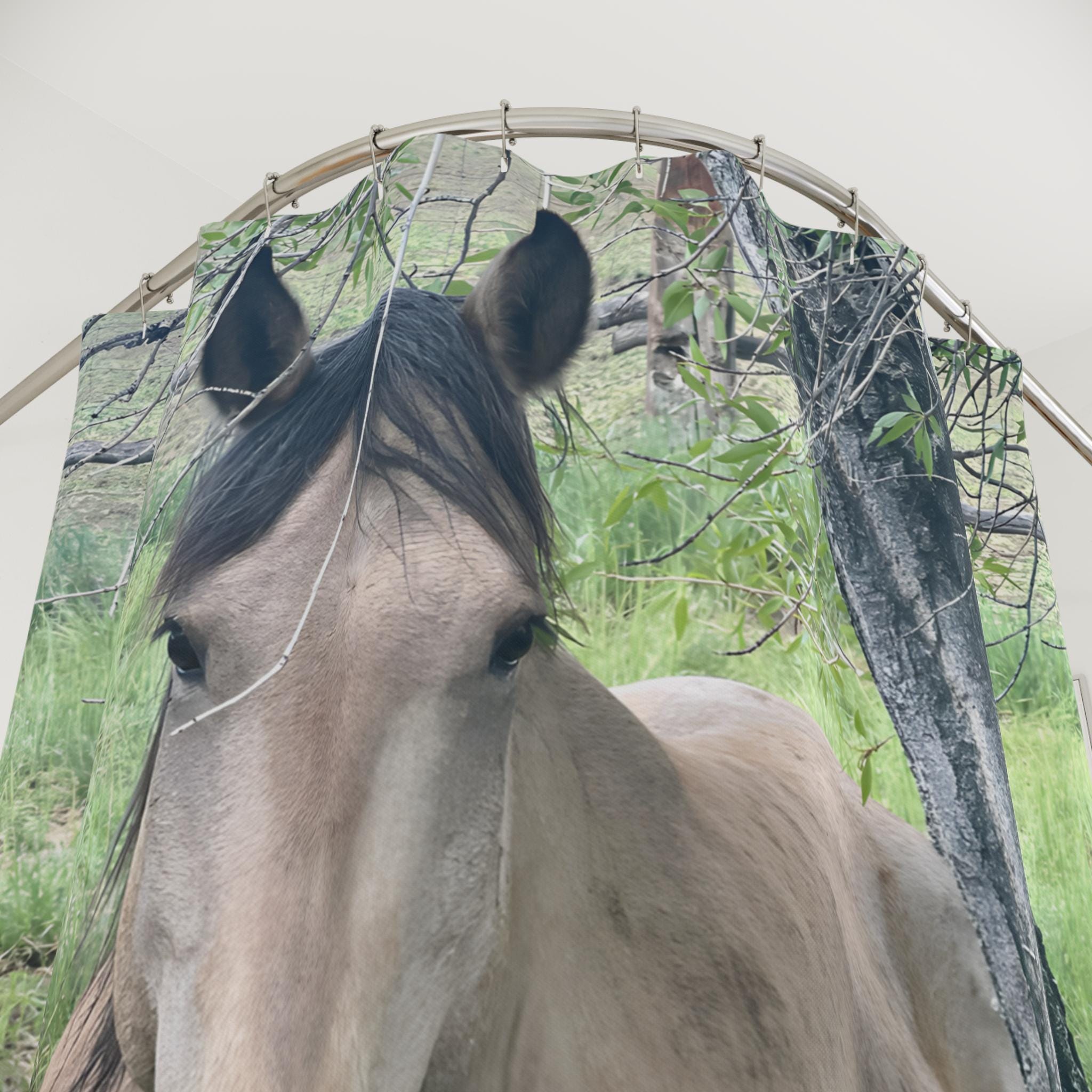 Buckskin Horse Shower Curtain: Western Montana Photography Bathroom Decor