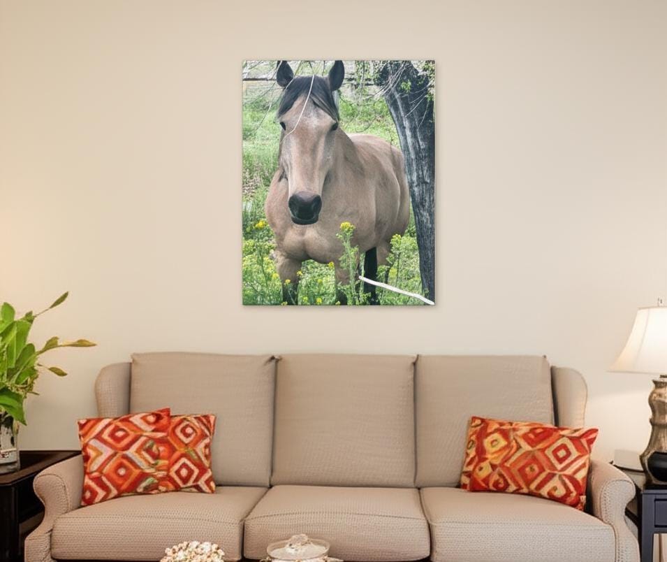 Experience the rugged beauty of the American West with this original HORSE PHOTOGRAPHY Canvas featuring a stunning Buckskin mare set against Montana’s serene landscape. This authentic Western decor piece captures natural light and earthy tones, offering a unique wall art that brings genuine, peaceful charm to your space.