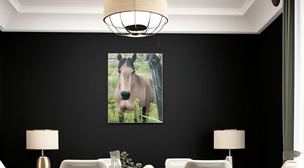 Original Montana Horse Photography Canvas, Buckskin Mare Wall Art -Razels