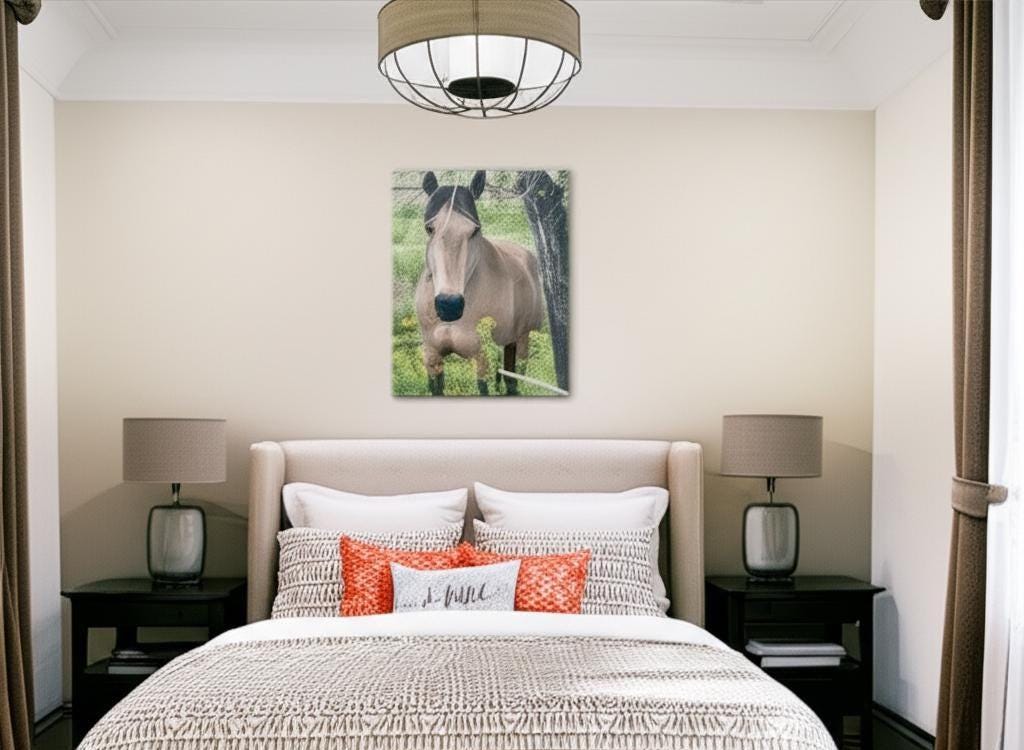 Original Montana Horse Photography Canvas, Buckskin Mare Wall Art -Razels
