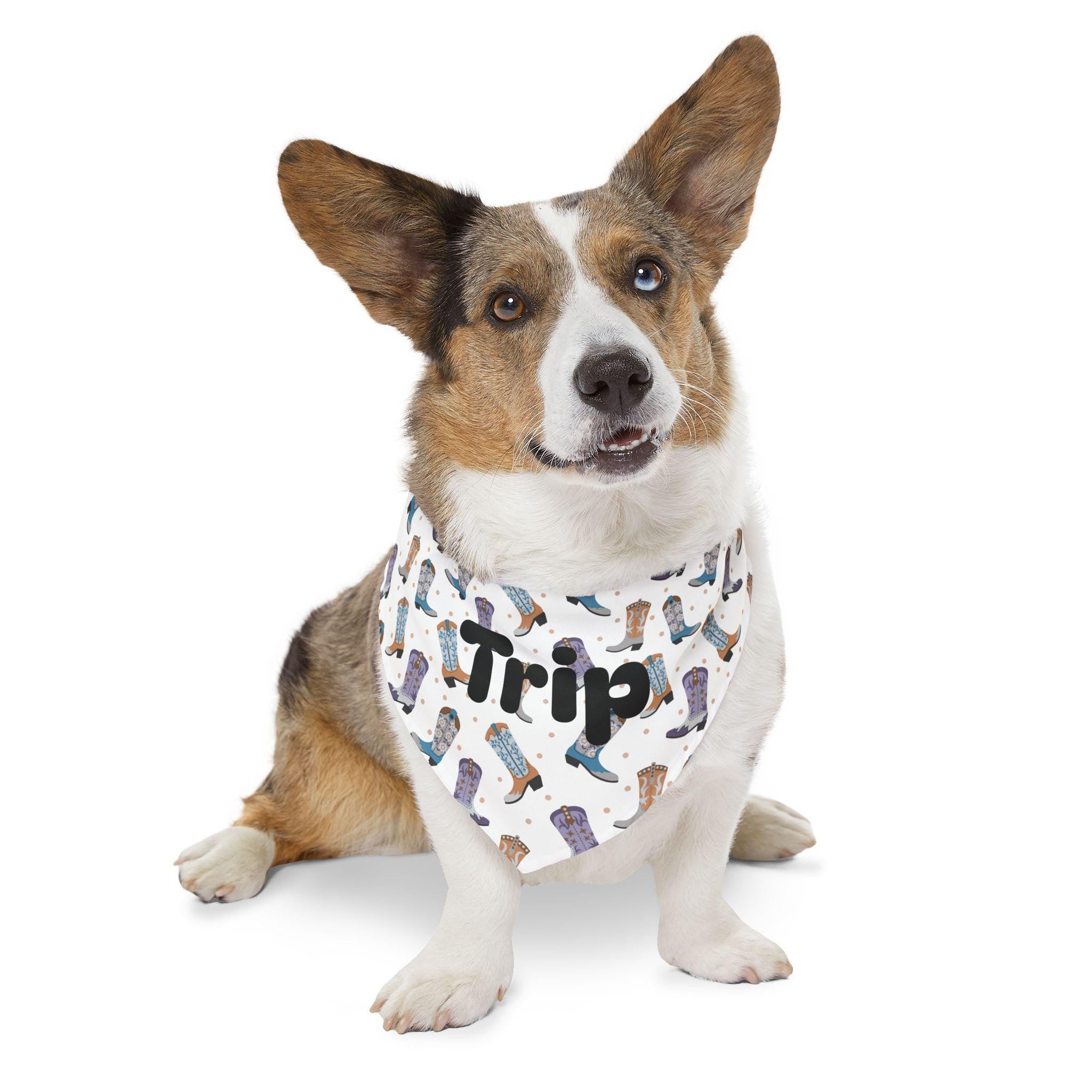 Personalized Cowboy Boot Pet Bandana Collar, Western Dog Accessory