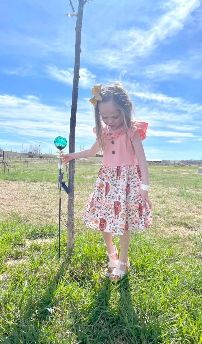 Scottish Highland Cow Dress! 🐄💖 Its the perfect blend of comfort and style, featuring a cute floral highlander cow print on the bottom. The soft top has flutter sleeves, a collar, and button details for an added touch of charm. Ships FREE with $35