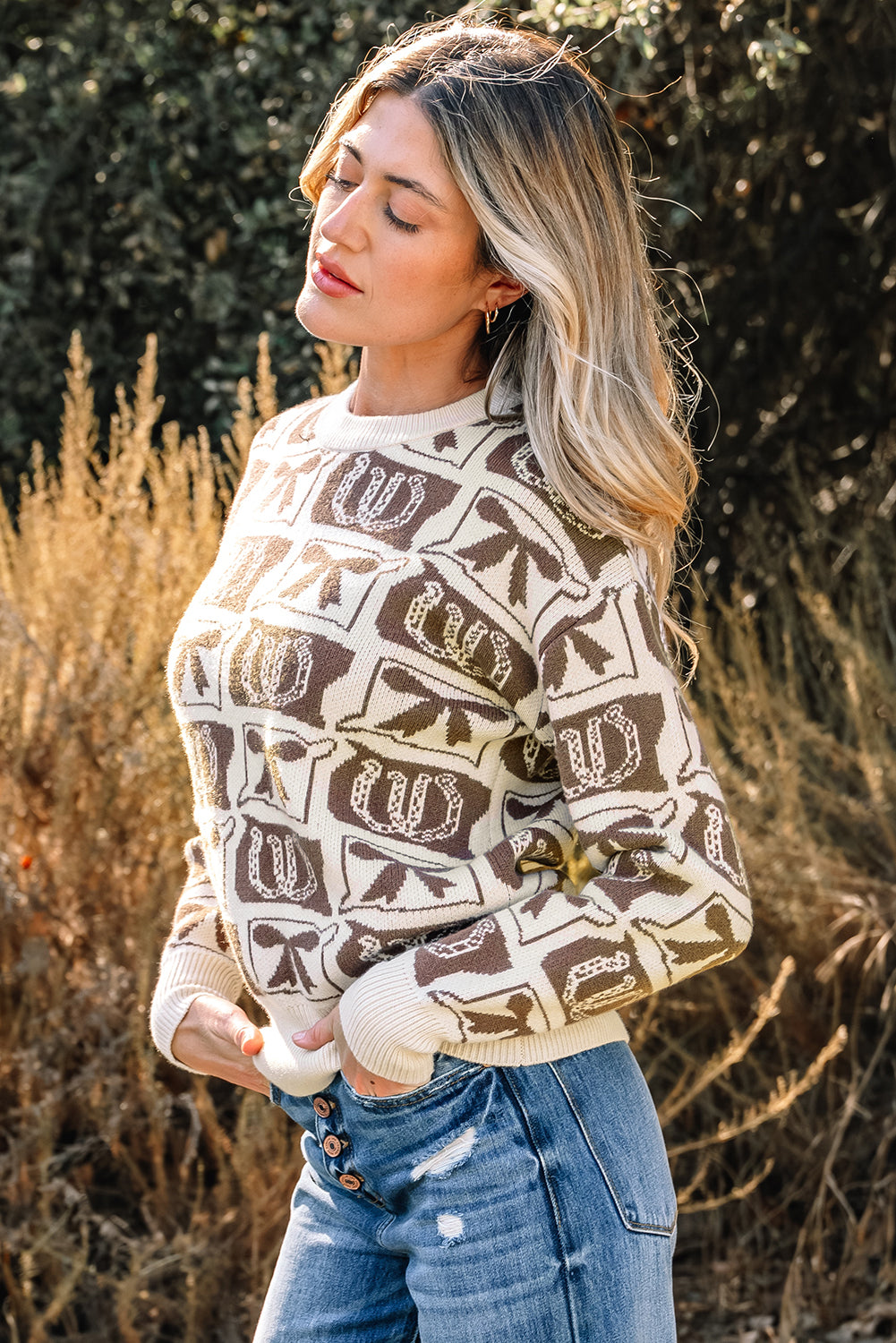 Brown Bows & Horseshoes Western Print Sweater | Cozy Cowgirl Knit Pullover