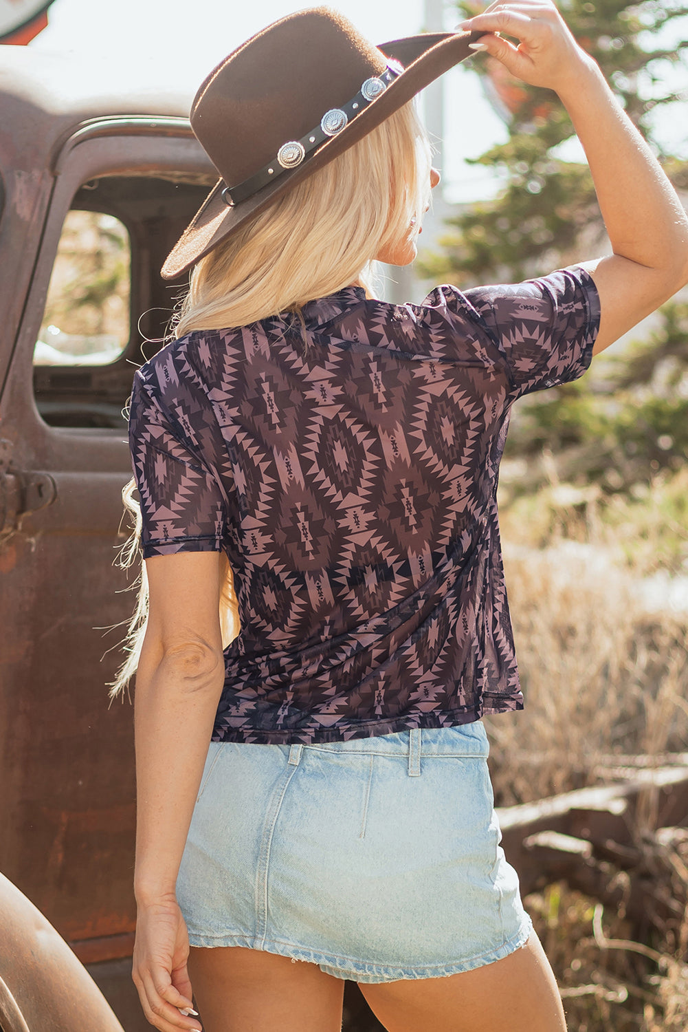Brown Aztec Print Mesh T-Shirt | Mock Neck Short Sleeve Lightweight Top