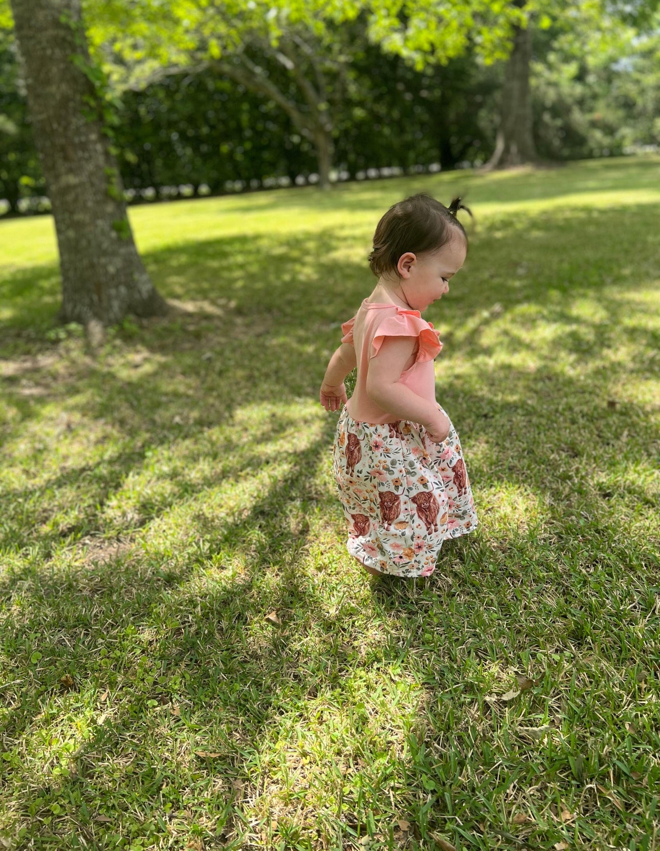 Highland Cow Dress, Spring Summer Cowgirl Cows and Flowers Dress - Razels