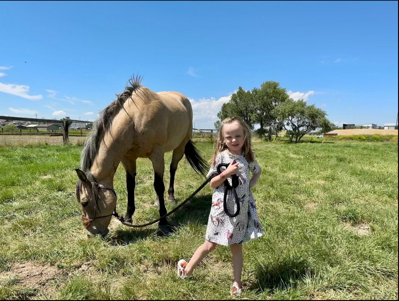 Horses T-Shirt Dress, Western Horse Dress, Back to School Outfit - Razels