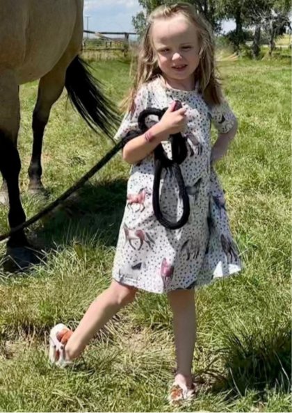 Horses T-Shirt Dress, Western Horse Dress, Back to School Outfit - Razels