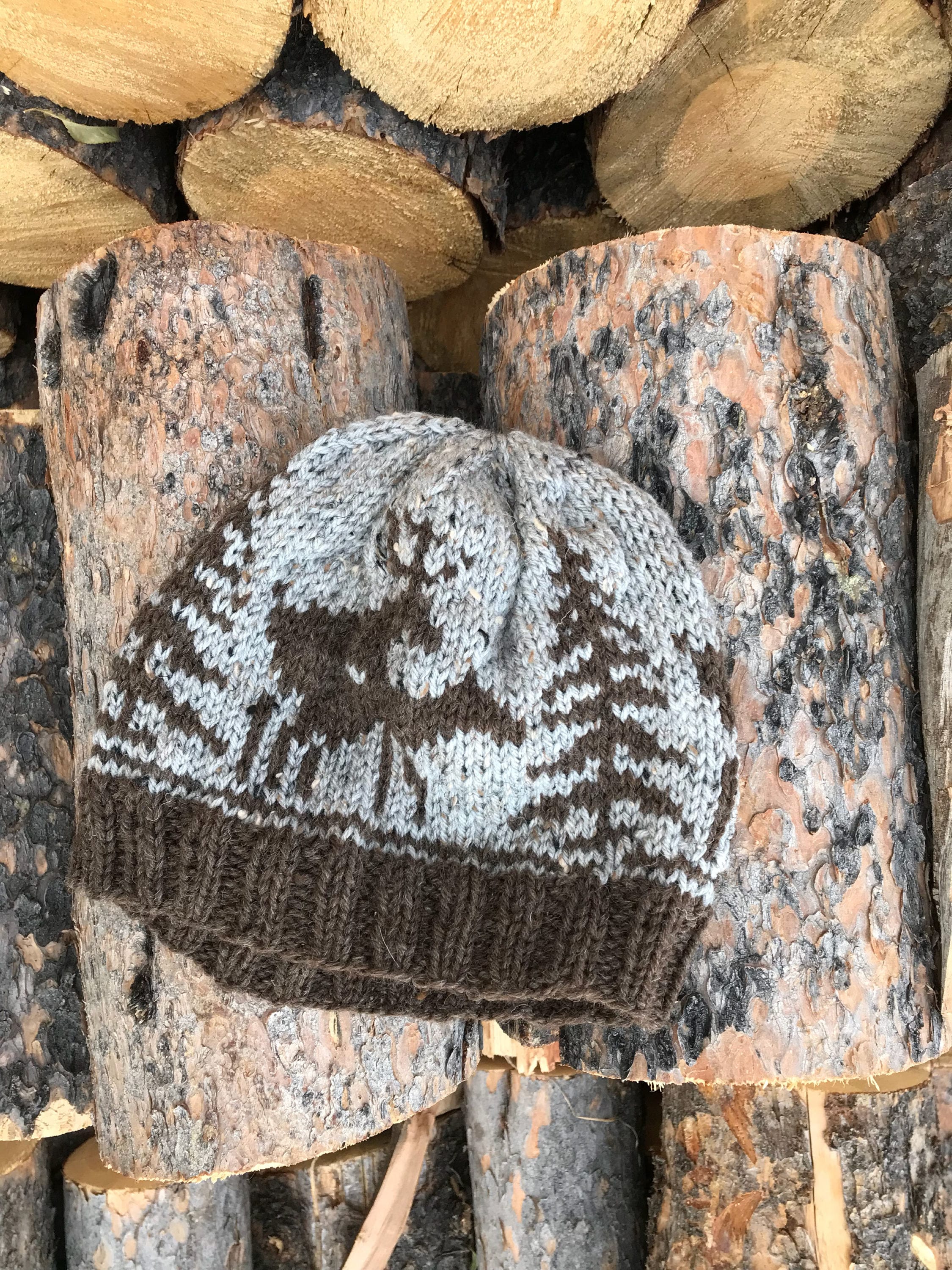 Here’s the perfect gift for the outdoorsman or hunter in your life—the Fornicators Hat! 🦌 Featuring a cheeky design of deer love among the trees, this hat will definitely spark a reaction. A great Christmas gift for Hunter!