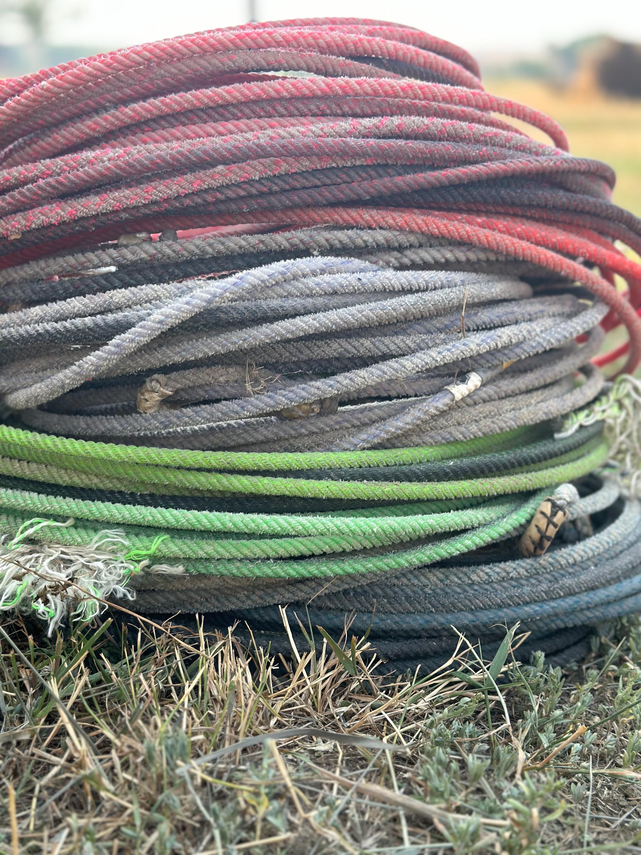 Used cowboy ropes available in pink, green, blue, and purple. Use these used lariat ropes for crafts such as baskets, wreaths, door decor, and centerpieces. Or heck, to play cowboy yourself!