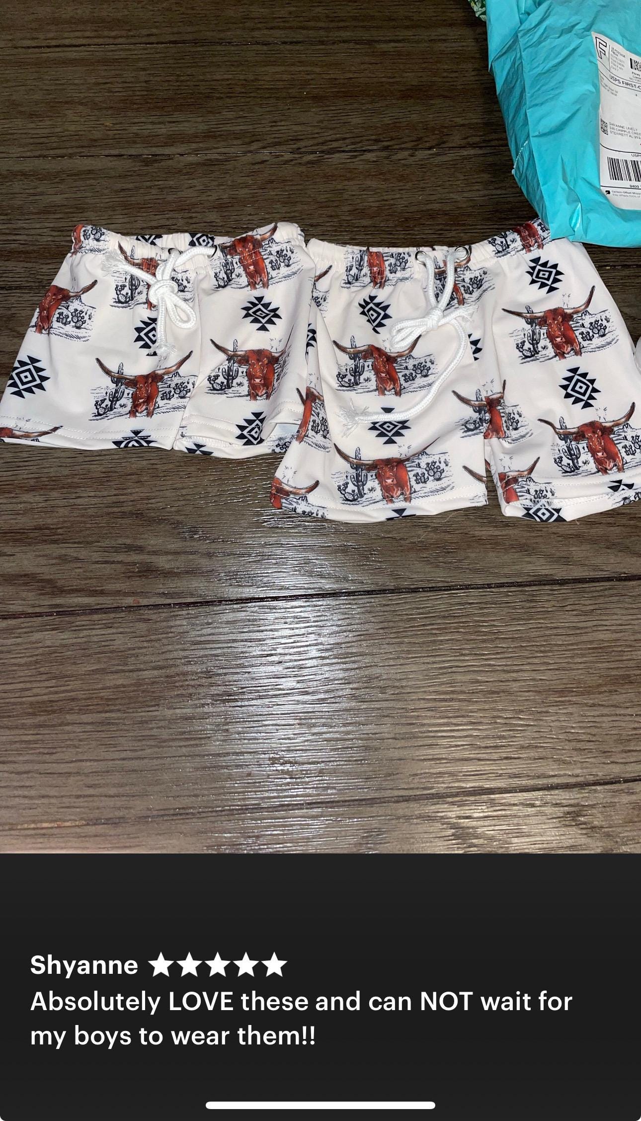 Sibling Western Swimsuits, Longhorn Steer Swimsuits