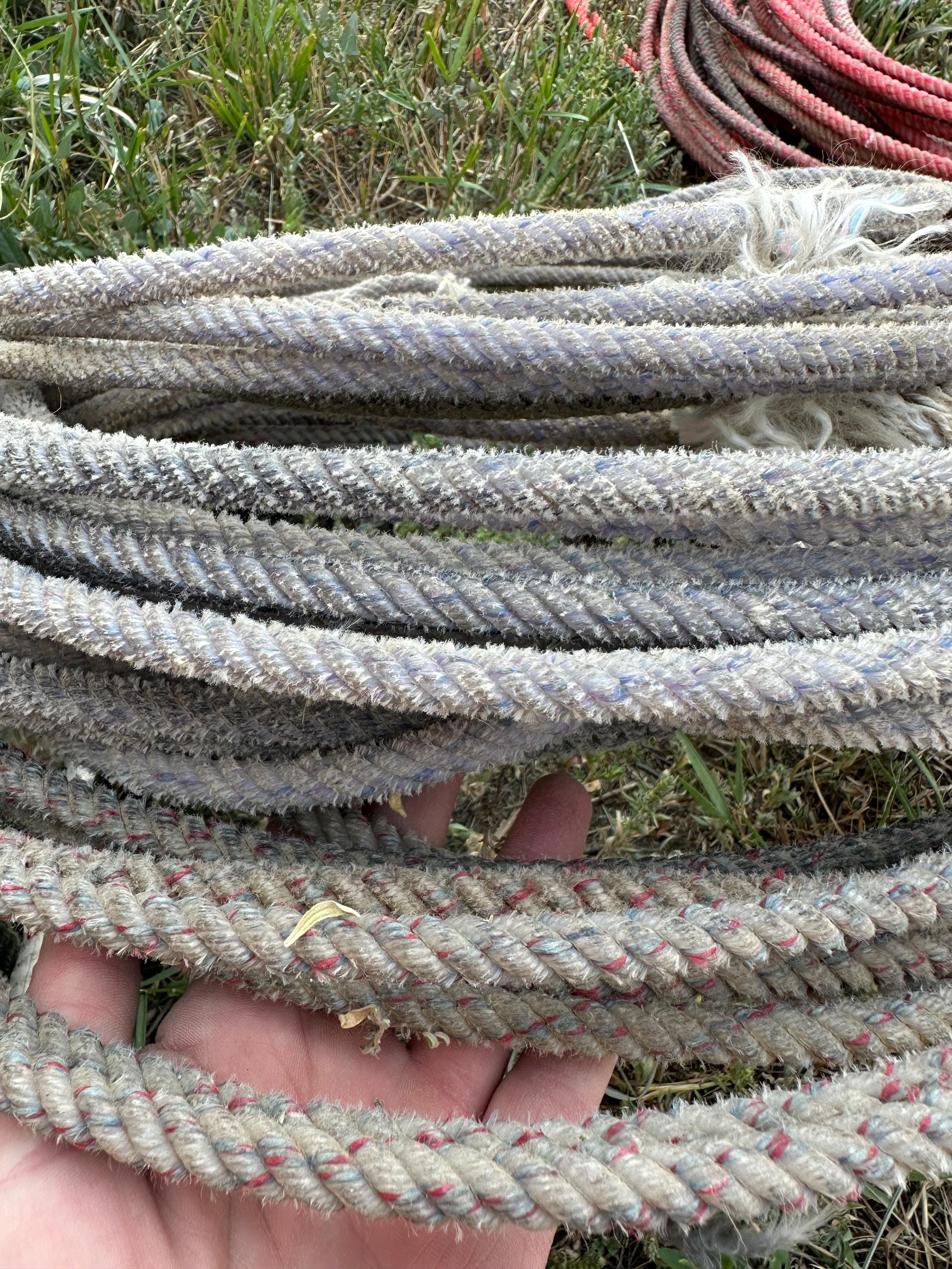 Used cowboy ropes available in pink, green, blue, and purple. Use these used lariat ropes for crafts such as baskets, wreaths, door decor, and centerpieces. Or heck, to play cowboy yourself!