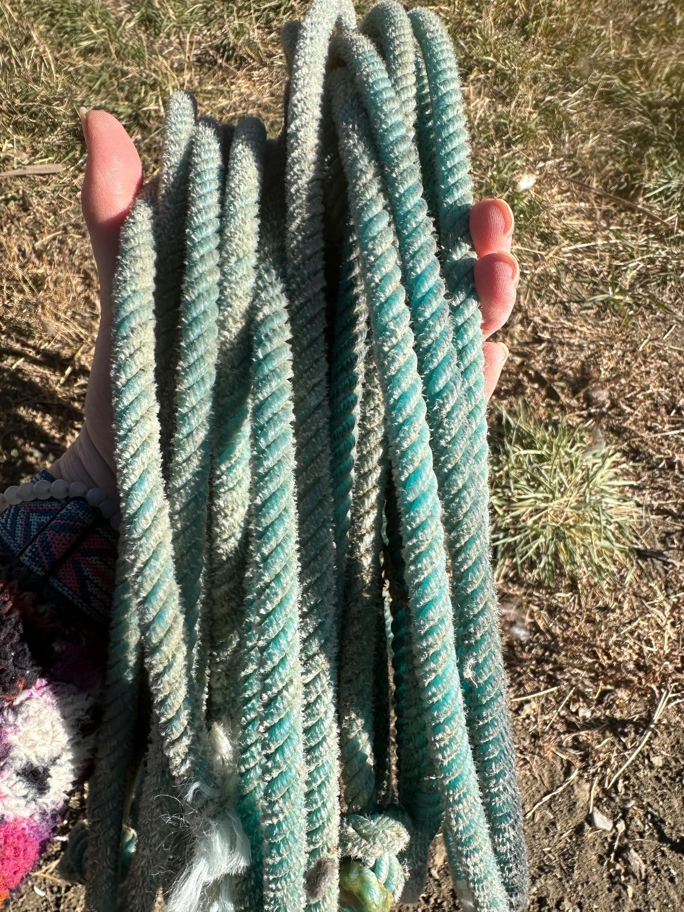 🤠 Authentic Cowboy/Cowgirl Ropes – Real Team Roping Gear for Decor, Crafts, or Play

These ropes are the real deal — genuine cowboy and cowgirl lariats pulled straight from the arena! Used in jackpot team roping events, every rope is “broke in” and full of personality, with all the natural markings that prove it’s lived the ranch life.

✓ Available red, white, blue, turquoise, green, purple & more
✓ Great for western-style wreaths, rustic gate decor, baskets, DIY projects & kids’ cowboy play