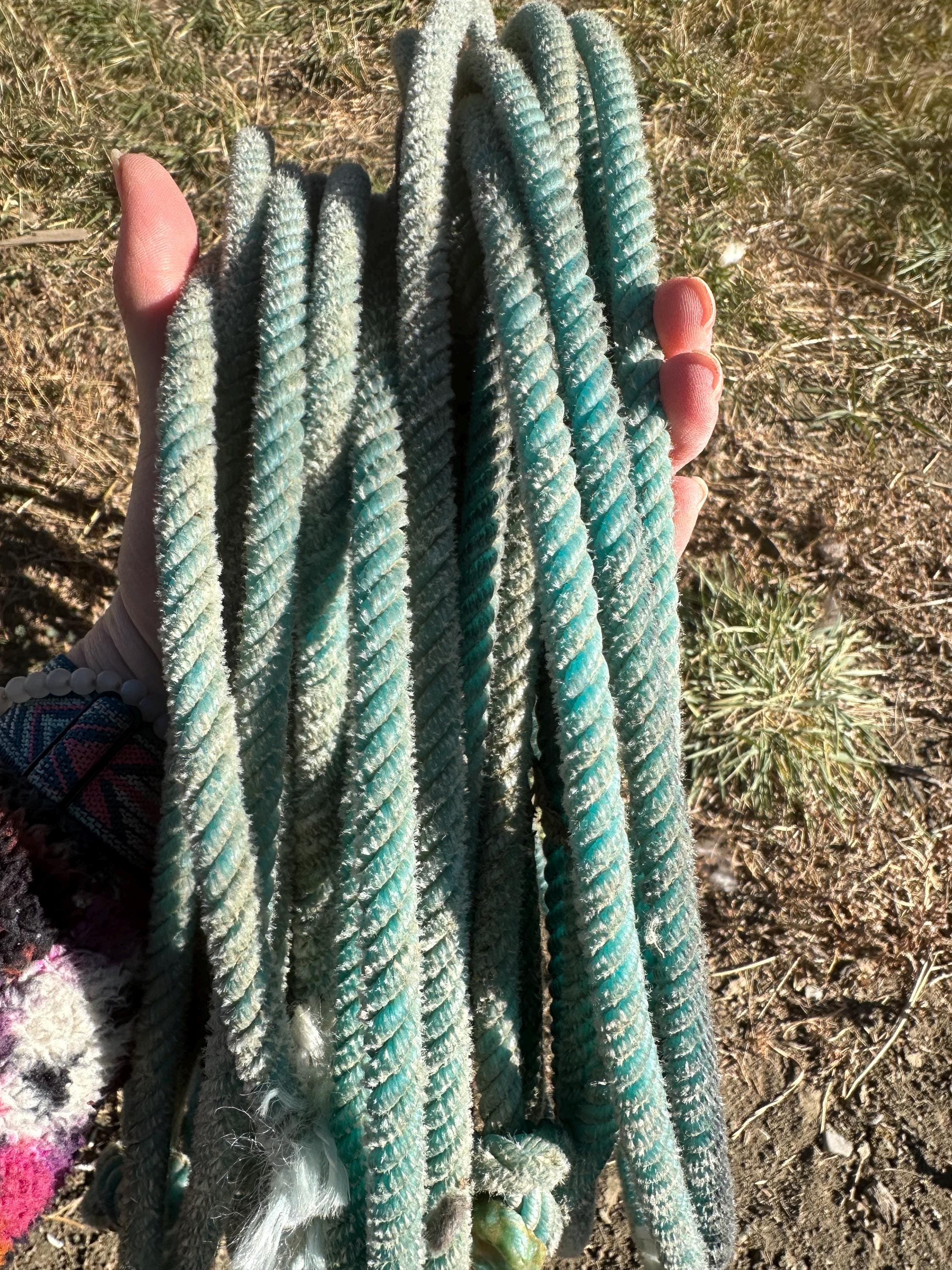 🤠 Authentic Cowboy/Cowgirl Ropes – Real Team Roping Gear for Decor, Crafts, or Play

These ropes are the real deal — genuine cowboy and cowgirl lariats pulled straight from the arena! Used in jackpot team roping events, every rope is “broke in” and full of personality, with all the natural markings that prove it’s lived the ranch life.

✓ Available red, white, blue, turquoise, green, purple & more
✓ Great for western-style wreaths, rustic gate decor, baskets, DIY projects & kids’ cowboy play