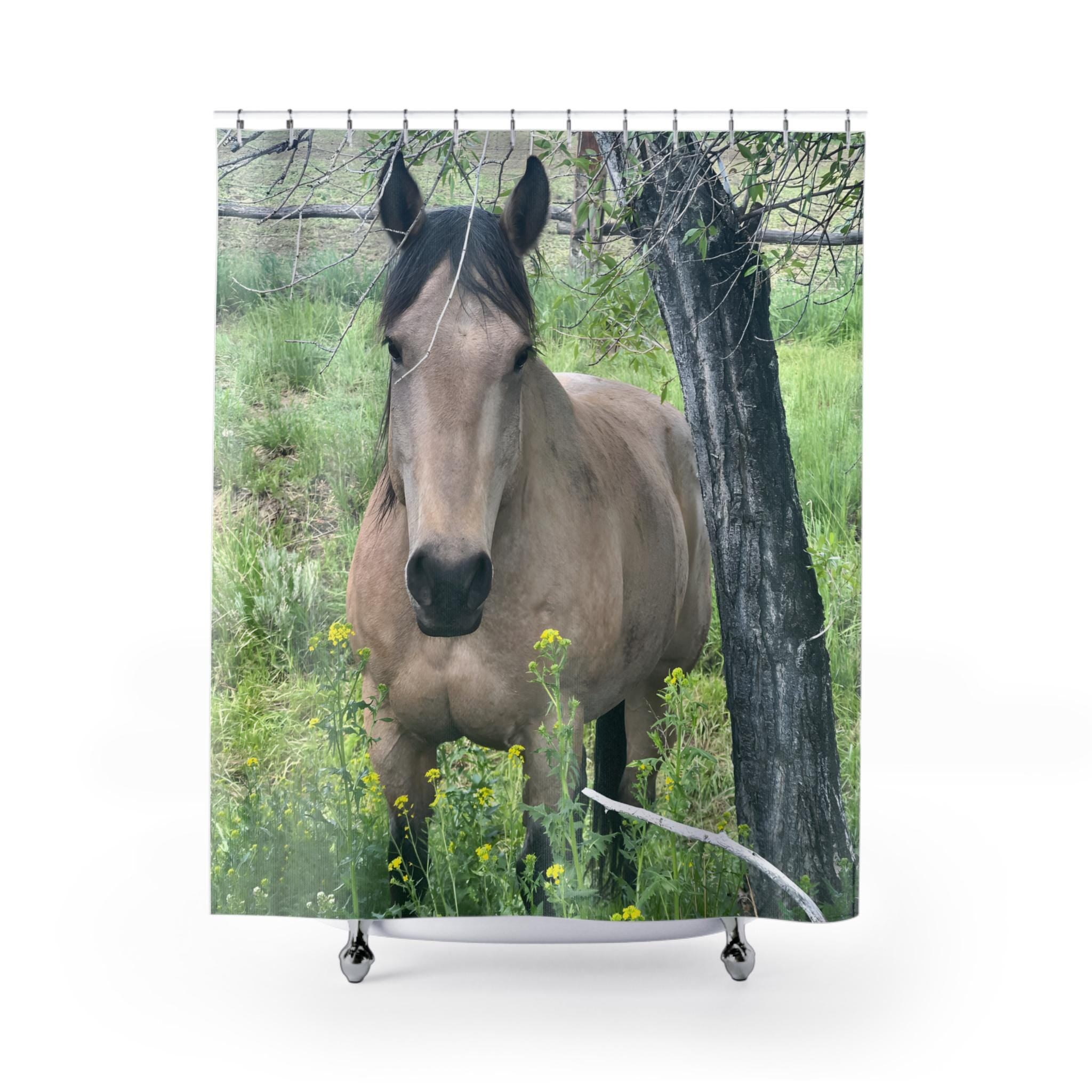 Buckskin Horse Shower Curtain: Western Montana Photography Bathroom Decor
