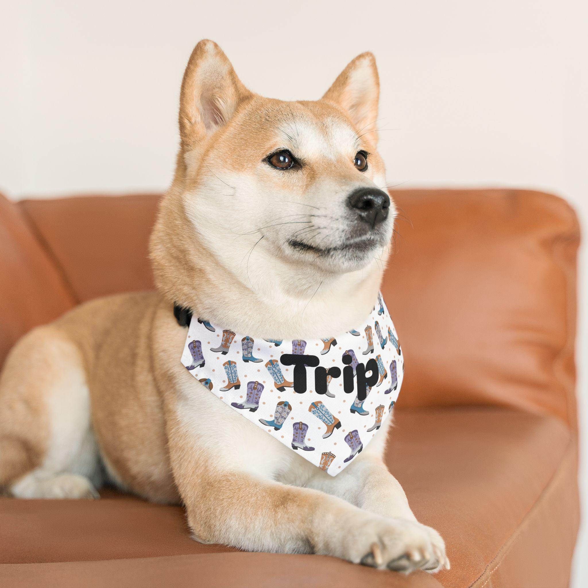 Personalized Cowboy Boot Pet Bandana Collar, Western Dog Accessory -Razels