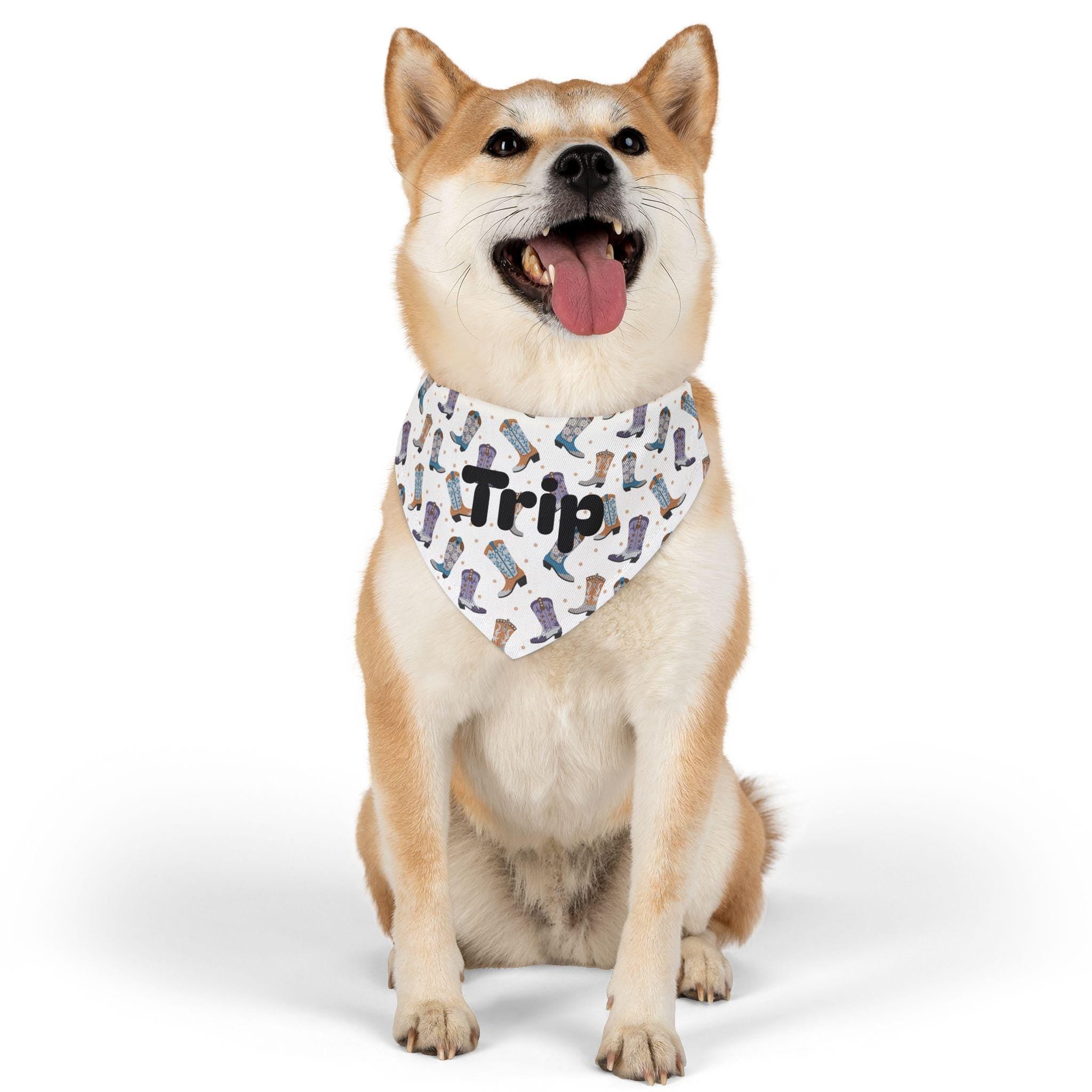 Personalized Cowboy Boot Pet Bandana Collar, Western Dog Accessory