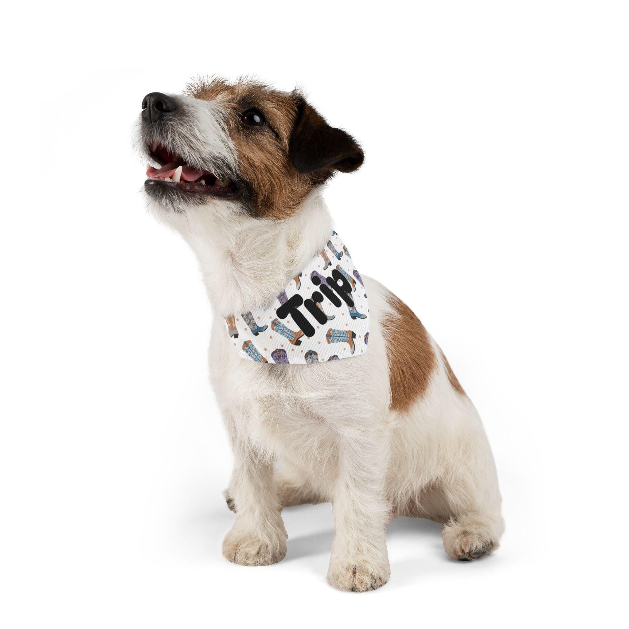 Personalized Cowboy Boot Pet Bandana Collar, Western Dog Accessory