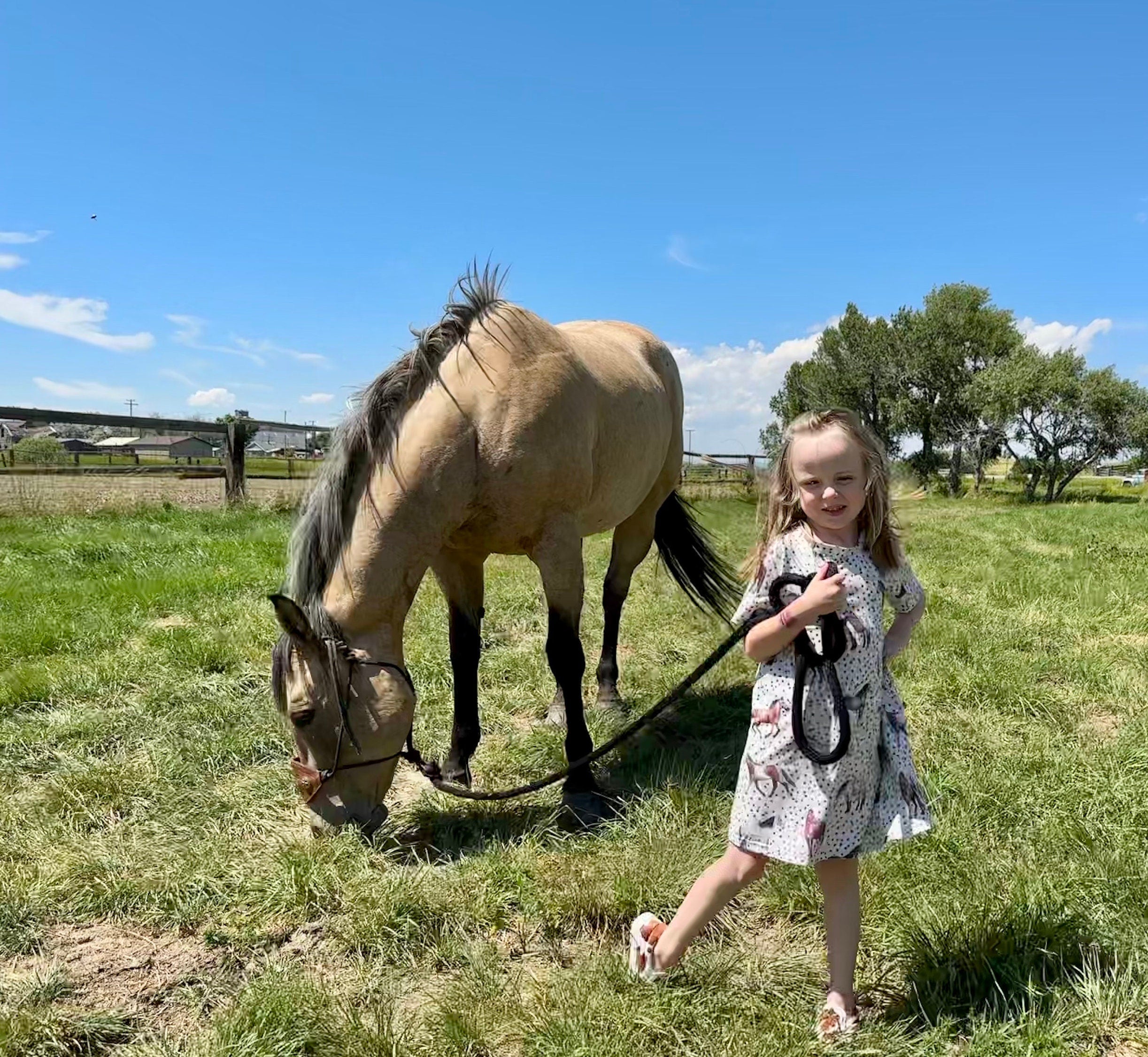 Jernie & Sweetie Cheeks modeling ' Horse T-Shirt Dress for little horse lovers! Comfy and versatile, perfect for cowgirls. Made from a soft cotton/spandex blend, machine washable, and true-to-size.