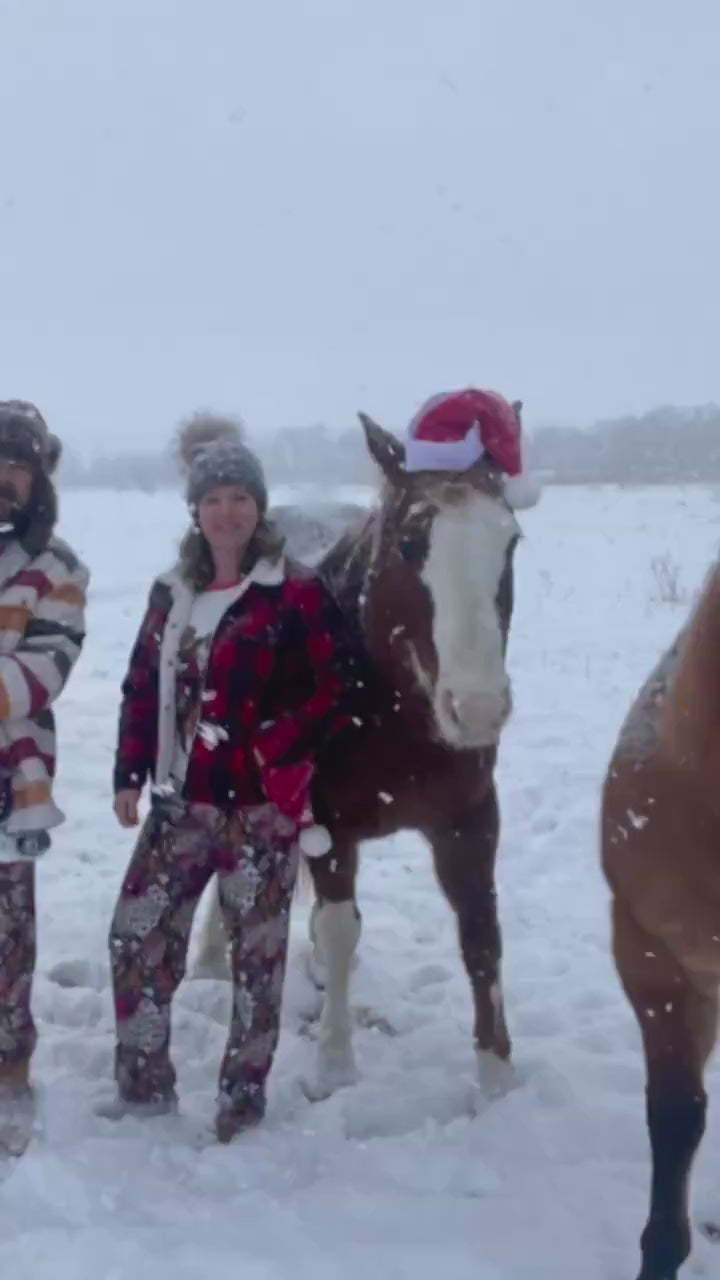 Cozy Western Sleigh Ride Christmas PJs – Family Matching Holiday Pajamas