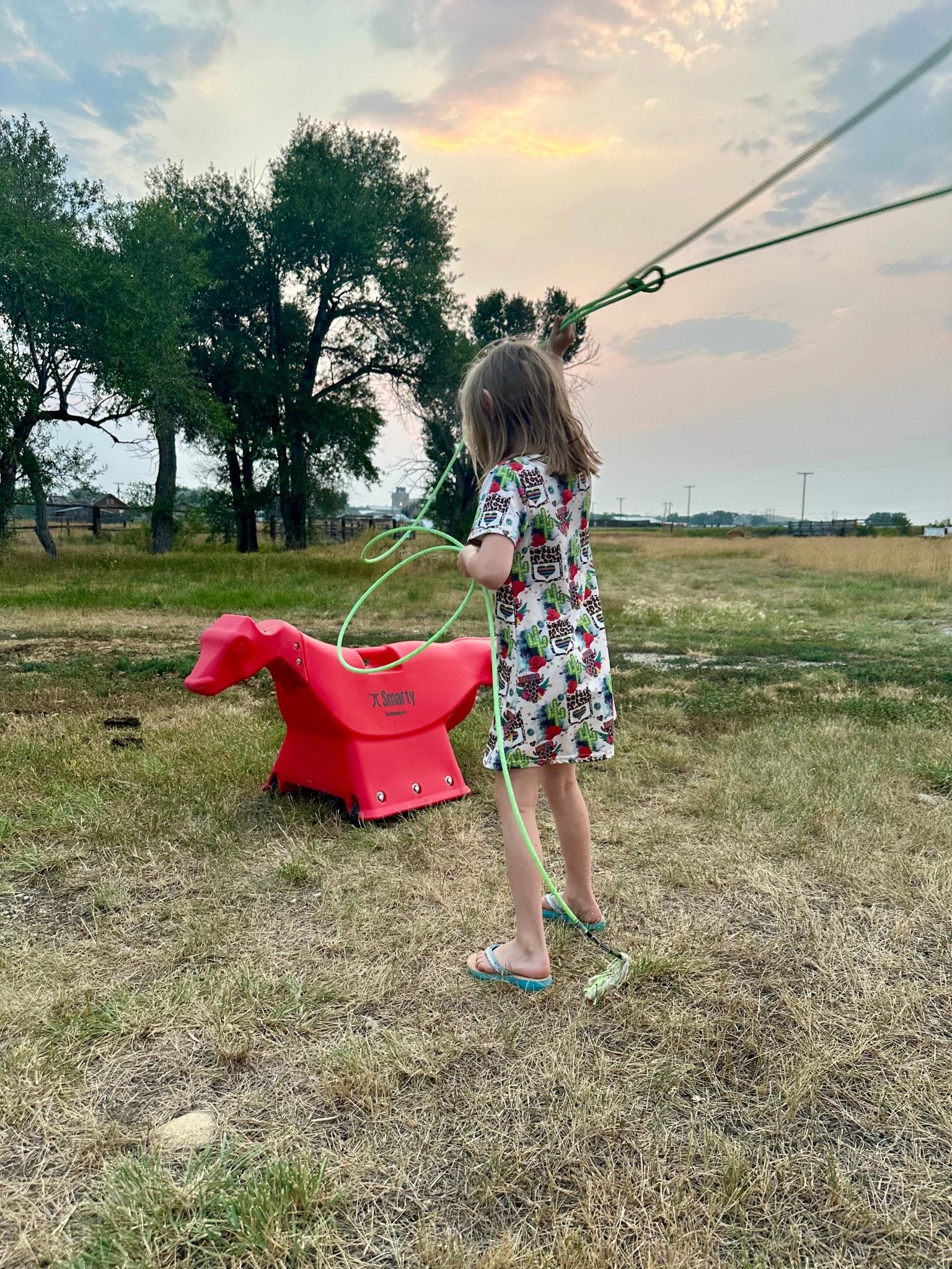 Rodeo T - Shirt Dress Rodeo Kids Cowgirl Dress Western Dress Cheetah Print Cactus tshirt Dress Western Style Clothing Western Skull Print - Razels